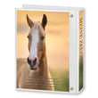 Laden Sie das Bild in den Galerie-Viewer, Zeugnismappe Cavallo
