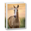 Laden Sie das Bild in den Galerie-Viewer, Zeugnismappe Cavallo