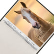 Laden Sie das Bild in den Galerie-Viewer, Zeugnismappe Cavallo
