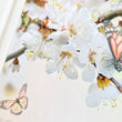 Laden Sie das Bild in den Galerie-Viewer, Stammbuch Papillon