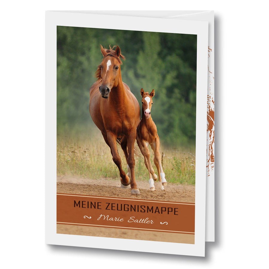 Zeugnis- & Unterschriftsmappe Little Horse