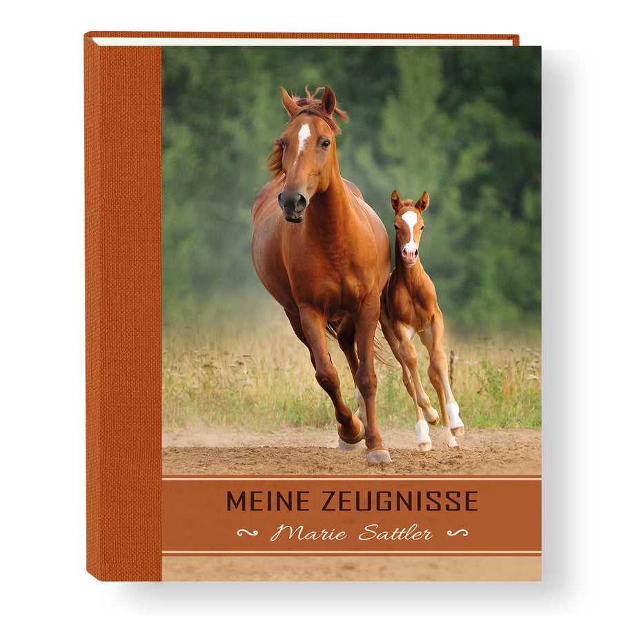 Zeugnismappe Little Horse